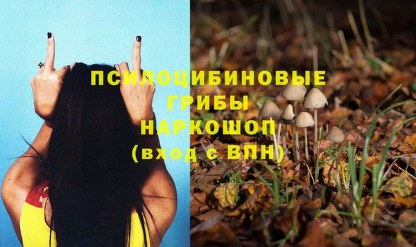 первитин Арсеньев