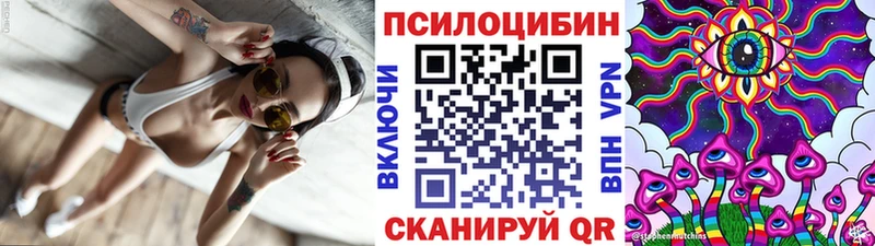 Псилоцибиновые грибы GOLDEN TEACHER Купить закладки Губаха